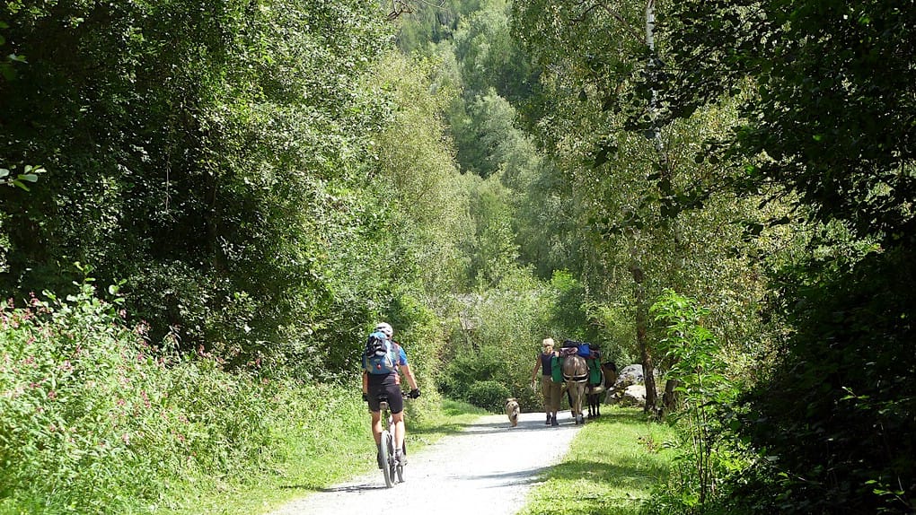 Wanderer mit Packpferden gehen den Etschtalradweg