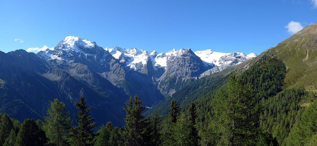 Blick in die Ortler-Alpen