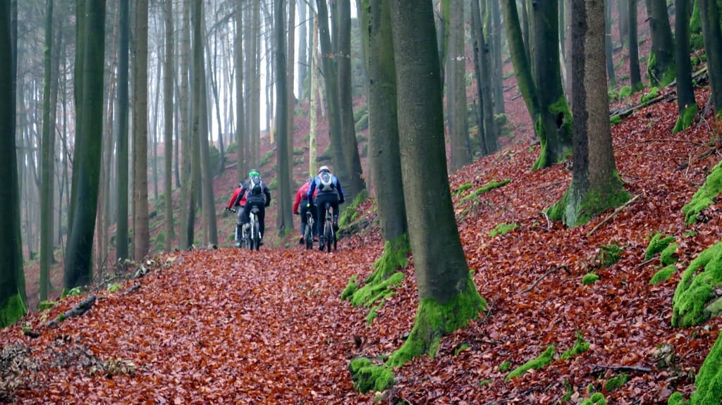 Biker fahren mit MTB über Laubwege im Wald