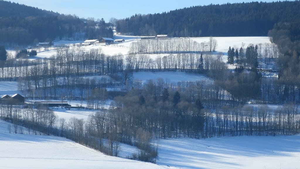 Schneelandschaft bei Kollnburg