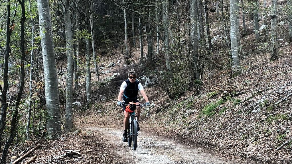 Ein Mountainbiker auf dem Weg zur Malga Zanga. Er ist umgeben vom typischen Wald im Gardasee Gebiet