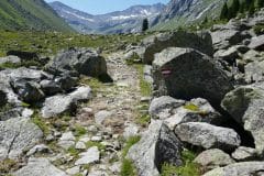 Aufstieg zum Krimmler Tauern - Grenzpass Österreich Italien